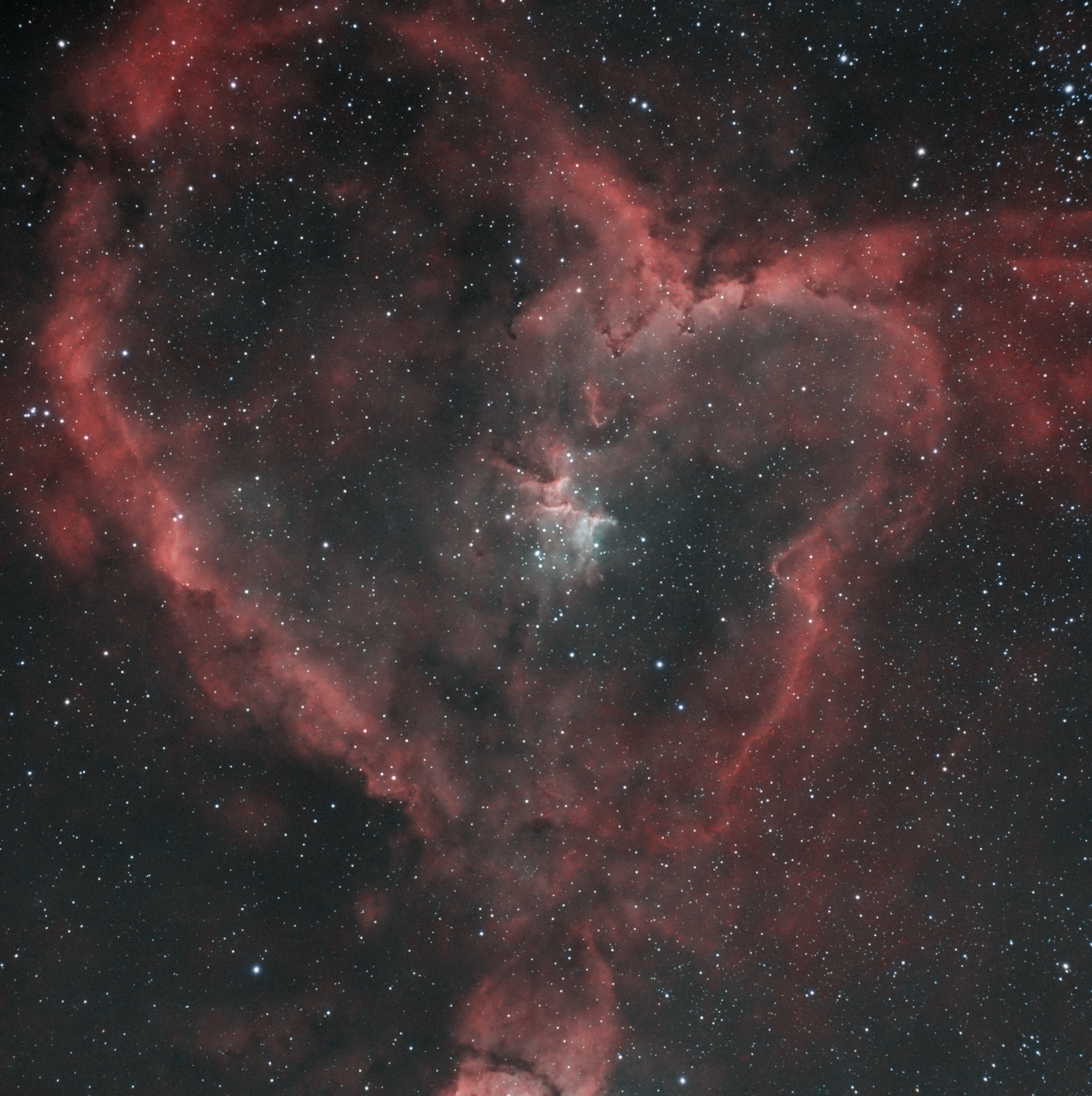 Wide view of the Heart Nebula and surrounding stars