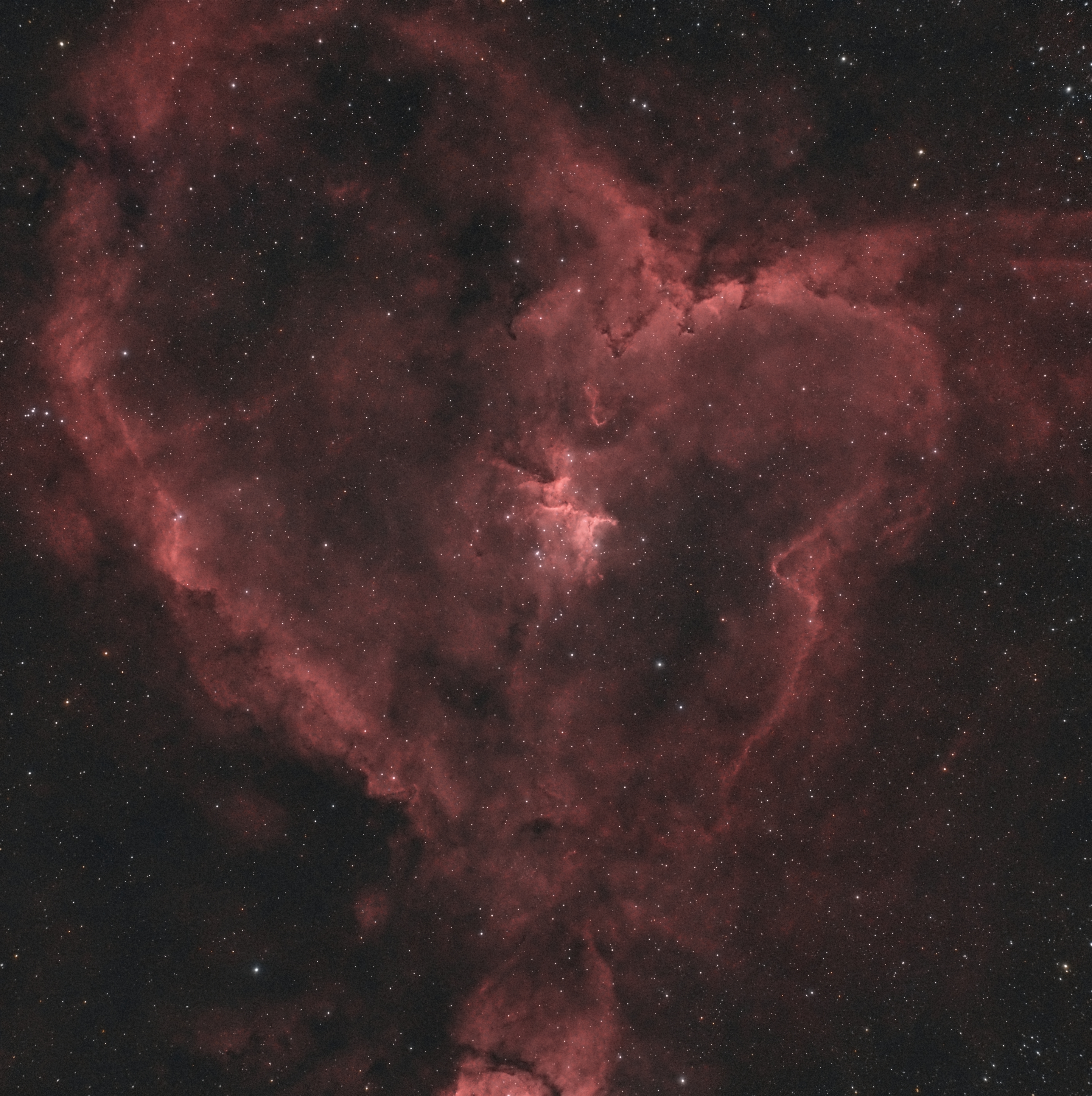 Heart Nebula with red clouds and dense starfield