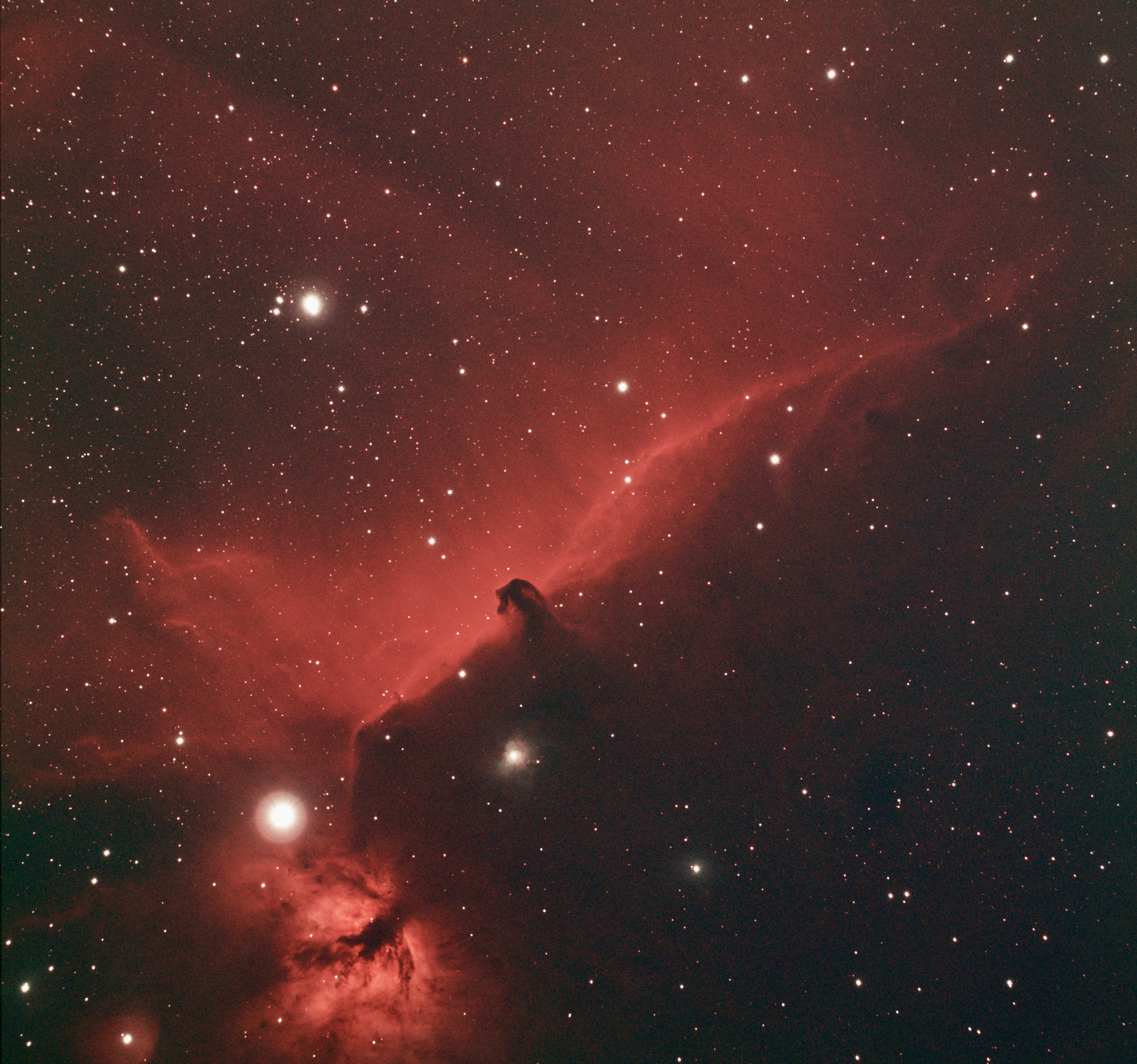 Horsehead Nebula silhouette against red emission clouds