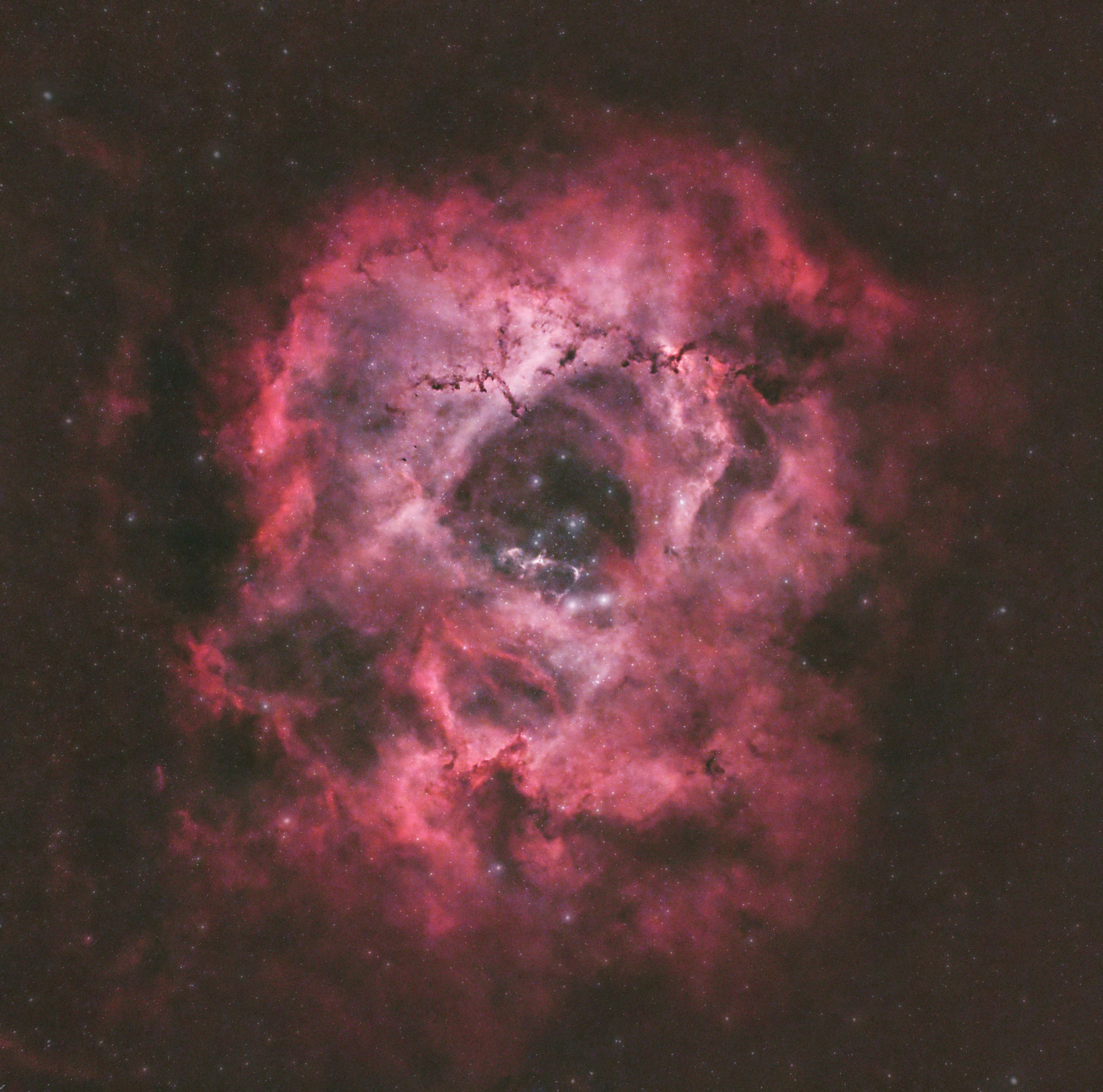 Pink and red Rosette Nebula surrounded by stars